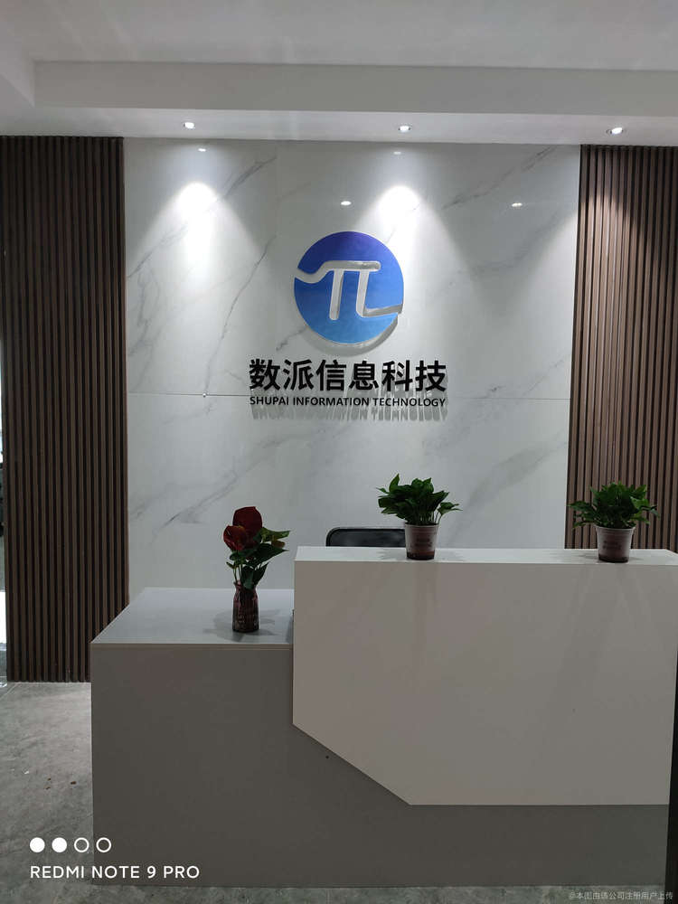 厦门数派信息技术与厦门信息科技 区别、联系与常见误解解析