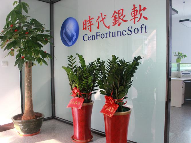 厦门时代银软信息技术
